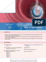 Desarrollo Embrionario y Somitico