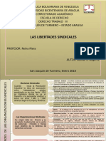 Mapa Conceptual Derecho Trabajo III Libertad Sindical