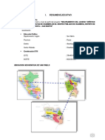 RESUMEN Ejecutivo Chambira