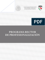 Programa Rector de Profesionalizacion 2017 PDF