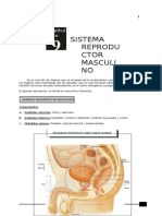 Anatomía 5to Secundaria 9