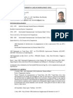 Curriculum Vitae Roberto