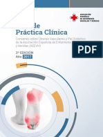 Guia de Practica Clinica Web