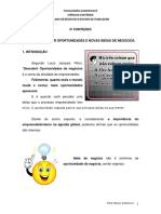 5º Conteúdo - Como Identificar Oportunidades e Novas Idéias de Negócios PDF