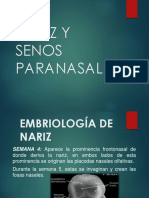 NARIZ