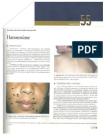 Material Hanseniase TBL PDF