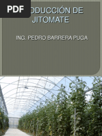 Producción de Jitomate 1