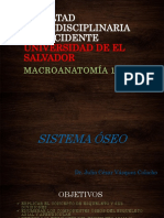 TEMA 2 Esqueleto Axil y Apendicular Puntos de Reparo