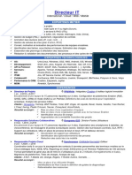 CV Directeur It C