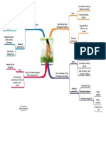 Mapa Conceptual