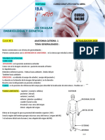 Anatomia Generalidades