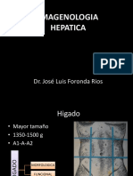 Higado