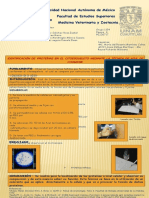 Identificacion de Proteinas Con Azul de Coomasie