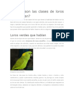 Cuáles Son Las Clases de Loros Que Hablan