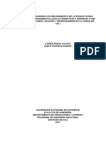 T07438 PDF