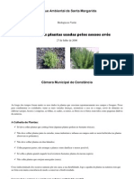 Plantas Medicinais