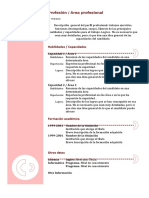 Plantilla de Curriculum Vitae