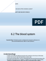 Circulatory System La Paz