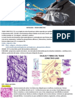 Histologia Tejido Conectivo 2018