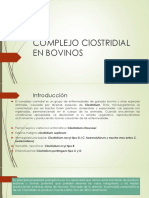 Clinica Bovinos Clostridium