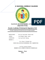 Informe de Practicas-Caqui