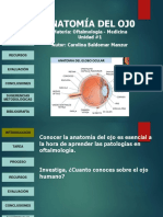 Webquest Anatomia Ojo