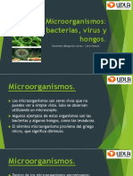 Microorganismos para