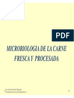 MicroCARNES PDF