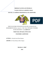 Universidad Nacional de Trujillo - Informe