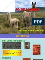 LLAMAS