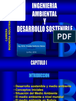 Capitulo I - Desarrollo Sostenible