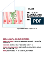  Clase Epitelios Glandulas Exocrinas y Endocrinas