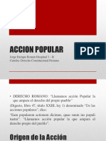 Accion Popular Exposicion