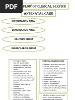 Process Flow of Clinical Service Antenatal Care: Information Area