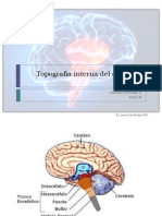 004 Topografia Interna Del Cerebro