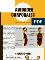 Clase 2 Cavidades Corporales