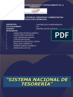 Sistema Nacional de Tesoreria