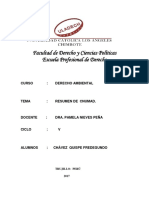 Conferencia de Las Naciones Unidas Sobre El Medio Ambiente y El Desarrollo