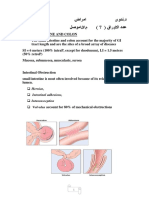 The Small Intestine and Colon Account For The Majority of GI