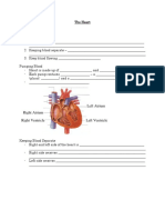 Block 2 - The Heart Note C