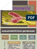 Salmonella - Shigella