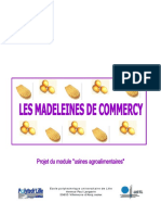 La Fabrication Des Madeleines PDF