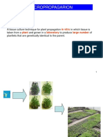 Lectut BTN 303 PDF Micropropagation PDF