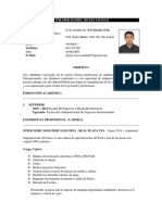 CV - Reyes Ciudad Wilmer Daniel