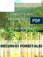 Recursos Forestales