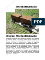 Bloques Multinutricionales