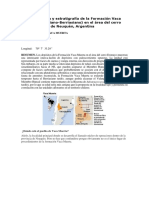 Sedimentología y Estratigrafía de La Formación Vaca Muerta