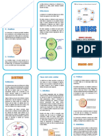 Tríptico La Mitosis