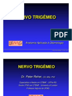 Nervo Trigêmeo