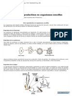 7 CIENCIAS - 2 Lección - Ciclos Reproductivos en Organismos Sencillos